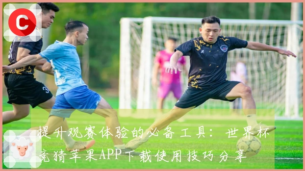 提升观赛体验的必备工具：世界杯竞猜苹果APP下载使用技巧分享