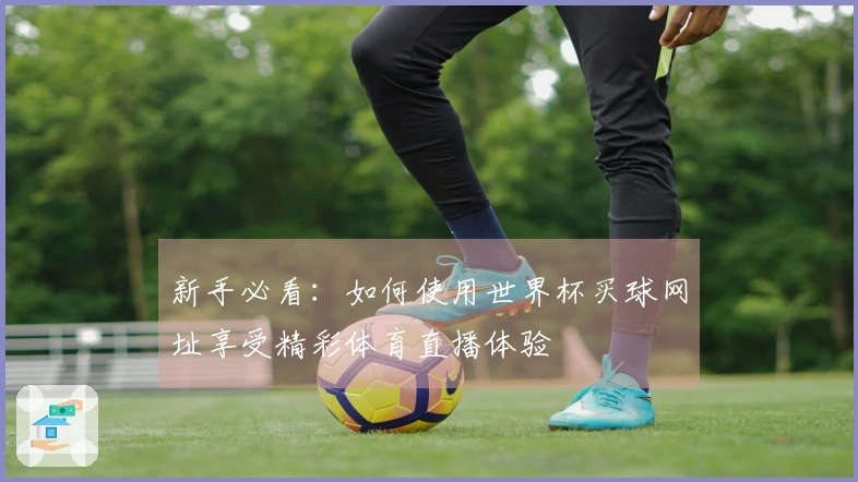 新手必看：如何使用世界杯买球网址享受精彩体育直播体验