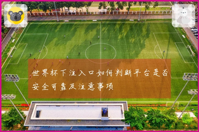 世界杯下注入口如何判断平台是否安全可靠及注意事项