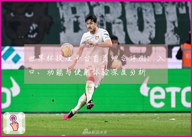 世界杯投注平台首页综合评测：入口、功能与使用体验深度分析