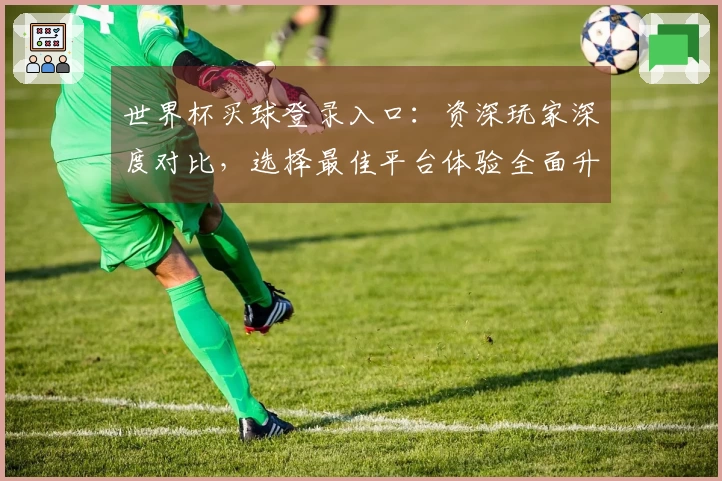 世界杯买球登录入口:资深玩家深度对比,选择最佳平台体验全面升级