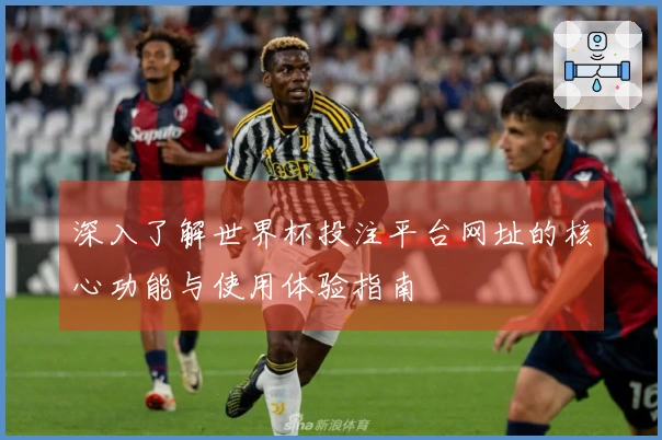深入了解世界杯投注平台网址的核心功能与使用体验指南