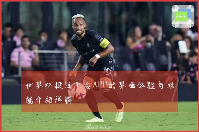世界杯投注平台APP的界面体验与功能介绍详解
