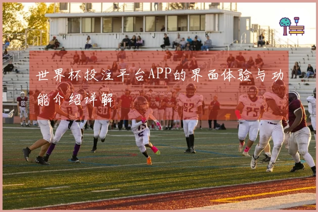 世界杯投注平台APP的界面体验与功能介绍详解