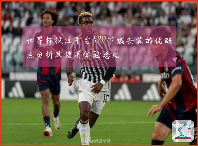 世界杯投注平台APP下载安装的优缺点分析及使用体验总结