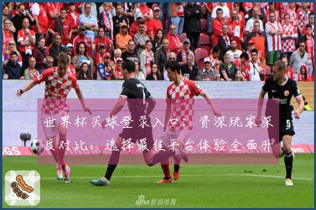 世界杯买球登录入口：资深玩家深度对比，选择最佳平台体验全面升级