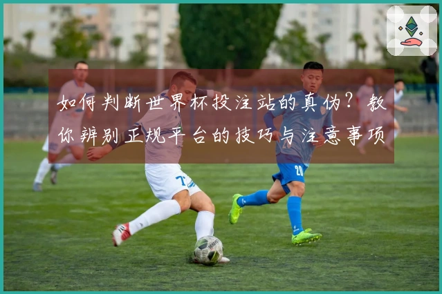 如何判断世界杯投注站的真伪？教你辨别正规平台的技巧与注意事项