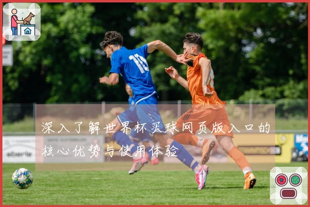 深入了解世界杯买球网页版入口的核心优势与使用体验