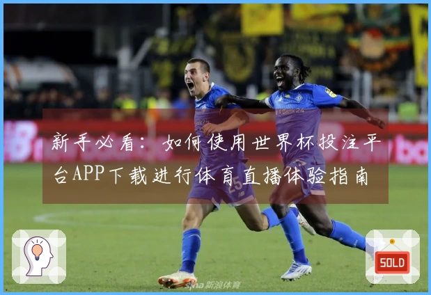 新手必看：如何使用世界杯投注平台APP下载进行体育直播体验指南