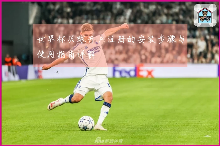 世界杯买球开户注册的安装步骤与使用指南详解