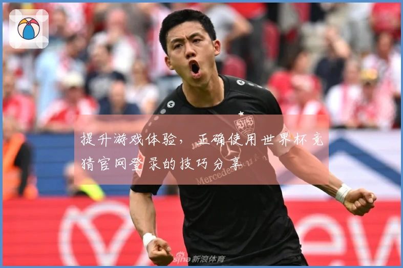 提升游戏体验，正确使用世界杯竞猜官网登录的技巧分享