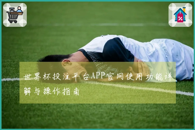 世界杯投注平台APP官网使用功能详解与操作指南