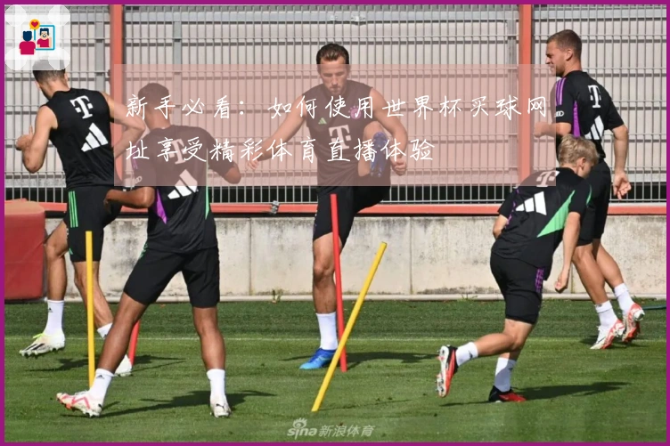 新手必看：如何使用世界杯买球网址享受精彩体育直播体验