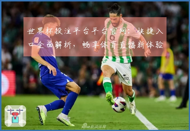 世界杯投注平台平台官网：快捷入口全面解析，畅享体育直播新体验